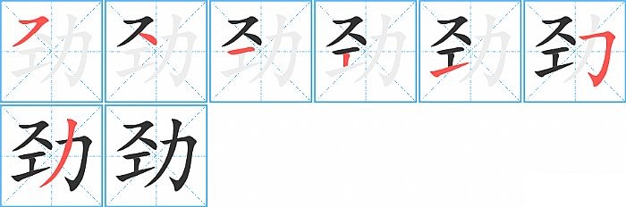 劲的笔顺分步演示图
