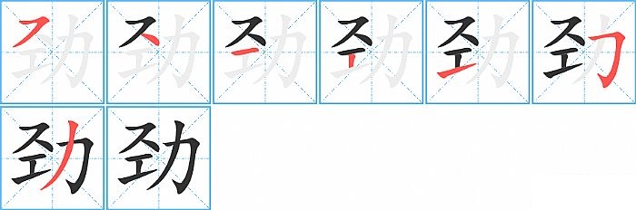 劲的笔顺分步演示图