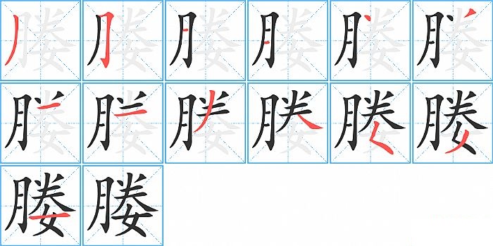 媵的笔顺分步演示图