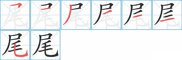 尾的笔顺分步演示图