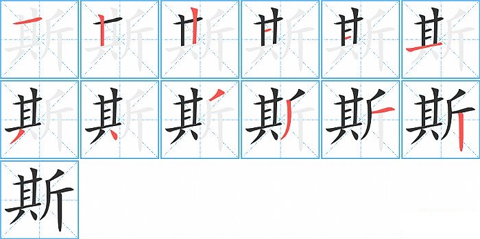 斯的笔顺分步演示图