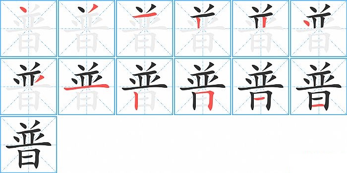 普的笔顺分步演示图