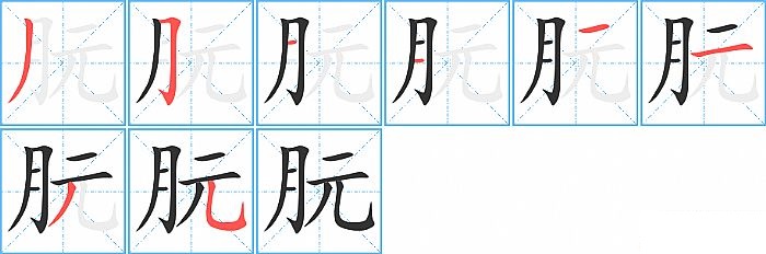 朊的笔顺分步演示图