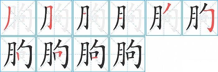 朐的笔顺分步演示图