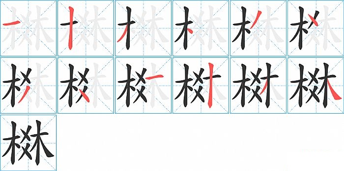 棥的笔顺分步演示图