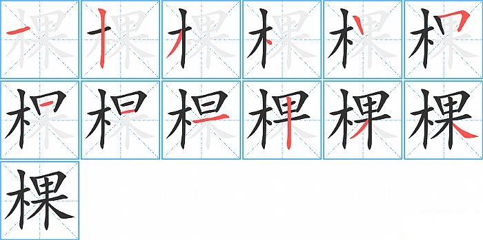 棵的笔顺分步演示图