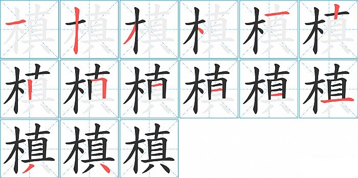 槙的笔顺分步演示图