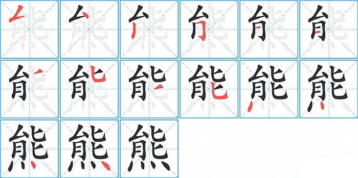 熊的笔顺分步演示图