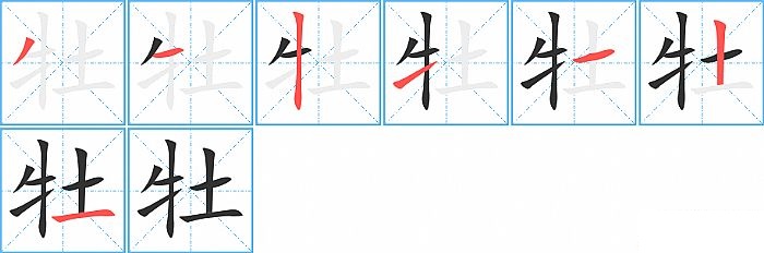 牡的笔顺分步演示图