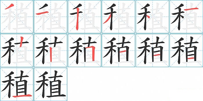 稙的笔顺分步演示图