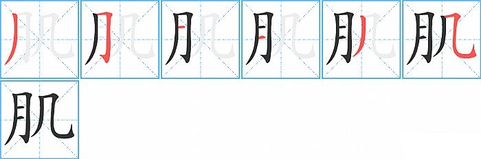 肌的笔顺分步演示图