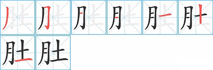 肚的笔顺分步演示图