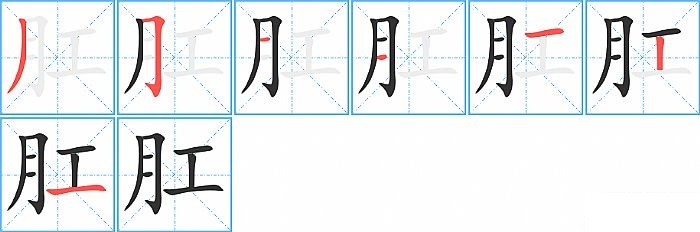 肛的笔顺分步演示图