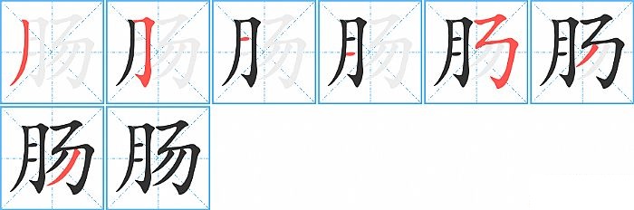 肠的笔顺分步演示图