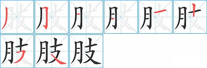 肢的笔顺分步演示图