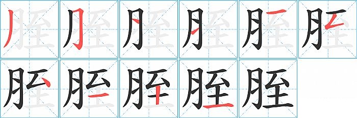 胵的笔顺分步演示图