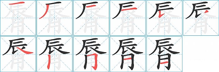 脣的笔顺分步演示图