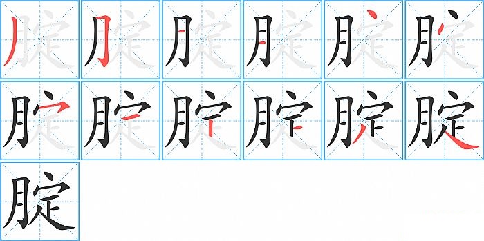 腚的笔顺分步演示图