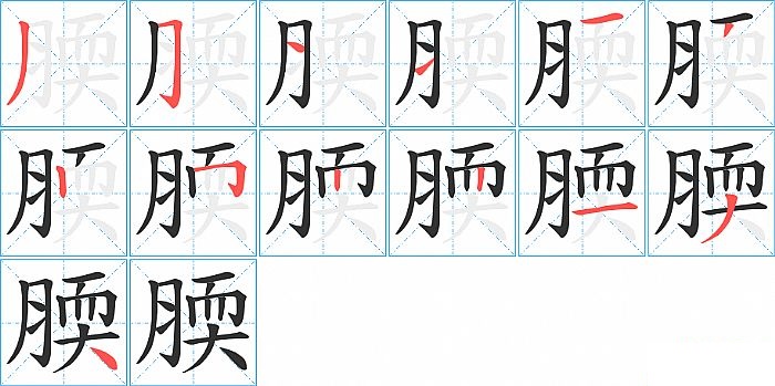 腝的笔顺分步演示图