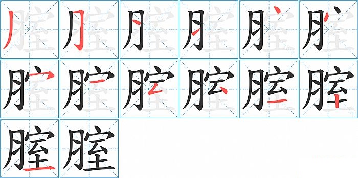 腟的笔顺分步演示图