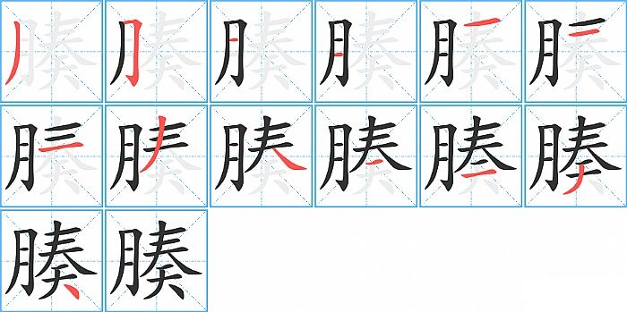 腠的笔顺分步演示图