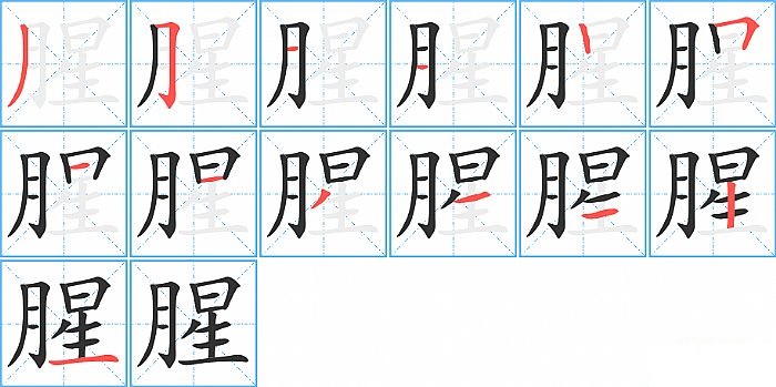 腥的笔顺分步演示图