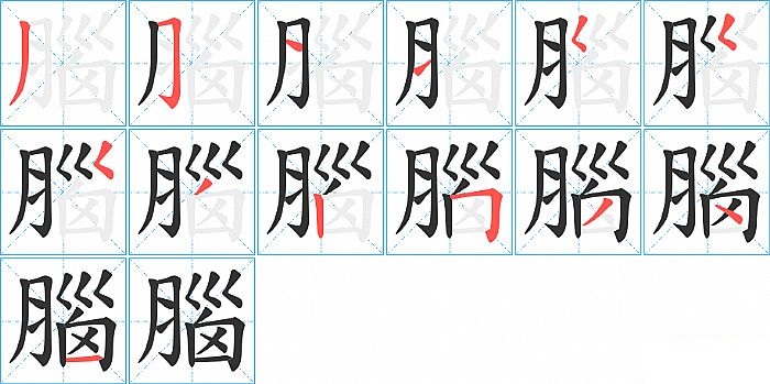 腦的笔顺分步演示图