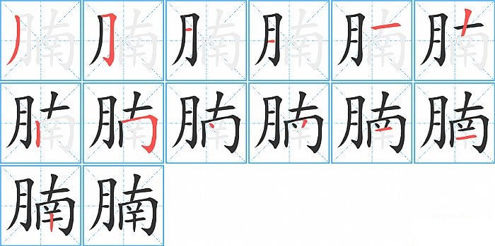 腩的笔顺分步演示图