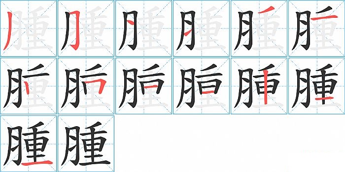 腫的笔顺分步演示图