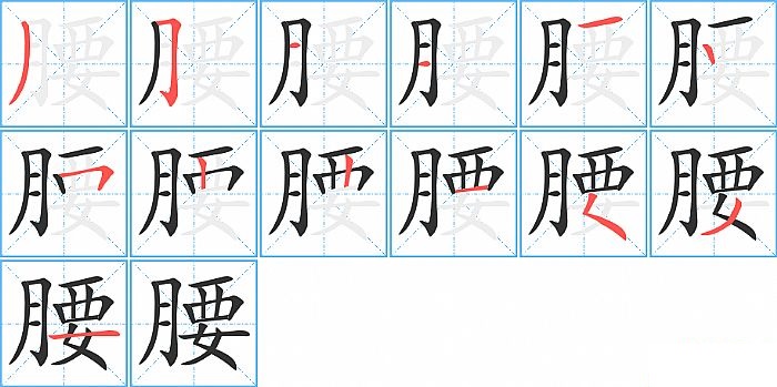腰的笔顺分步演示图