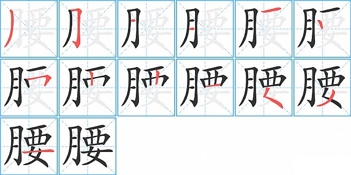 腰的笔顺分步演示图