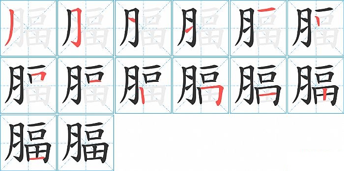 腷的笔顺分步演示图