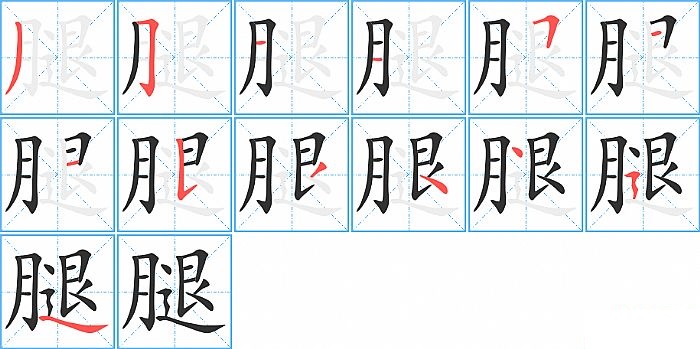 腿的笔顺分步演示图