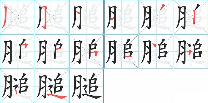 膇的笔顺分步演示图