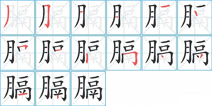 膈的笔顺分步演示图