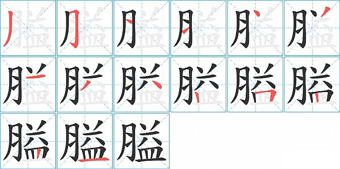 膉的笔顺分步演示图