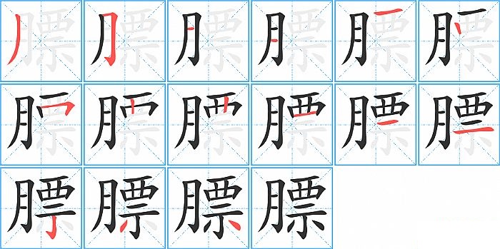 膘的笔顺分步演示图