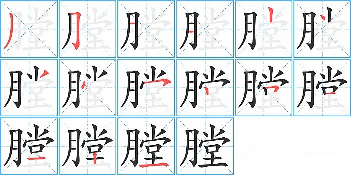 膛的笔顺分步演示图