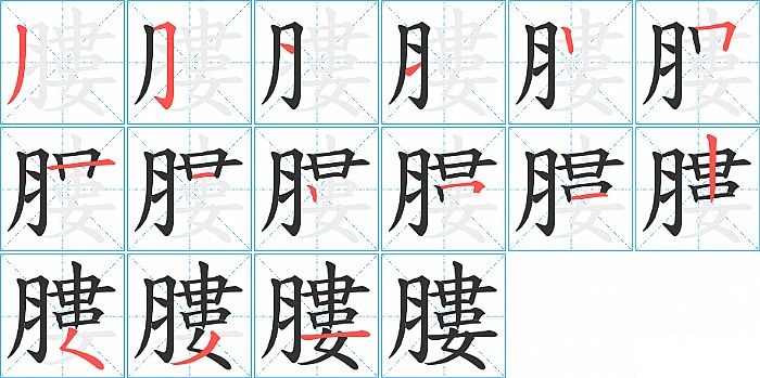 膢的笔顺分步演示图