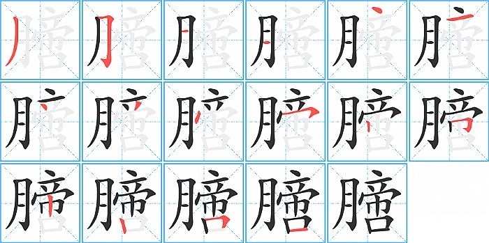 膪的笔顺分步演示图