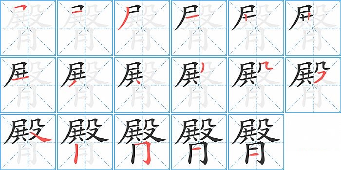 臀的笔顺分步演示图