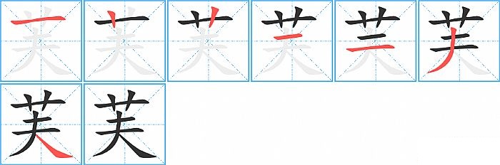 芙的笔顺分步演示图