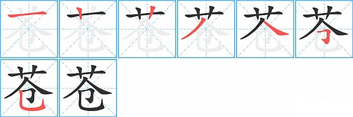 苍的笔顺分步演示图