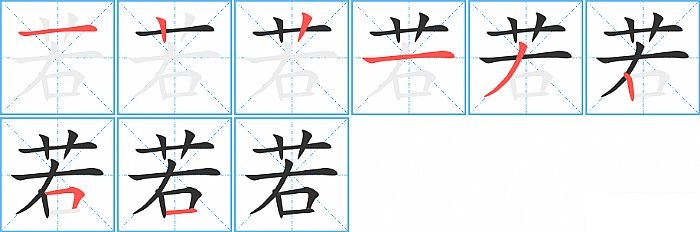 若的笔顺分步演示图