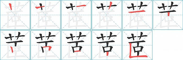 茝的笔顺分步演示图