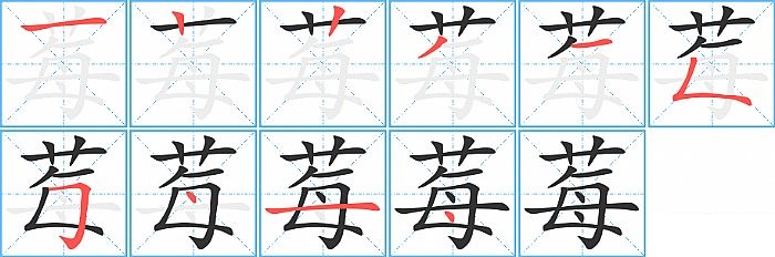 莓的笔顺分步演示图