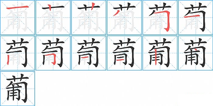 葡的笔顺分步演示图