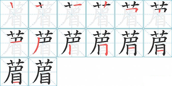 葿的笔顺分步演示图