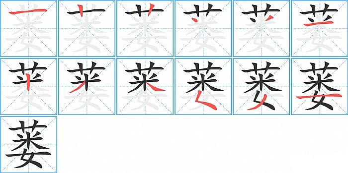 蒌的笔顺分步演示图