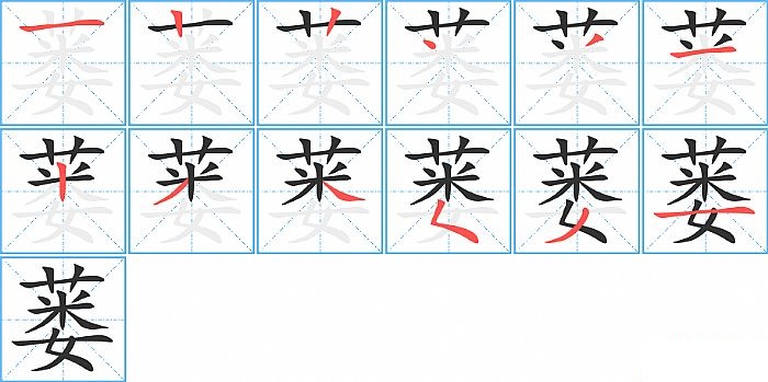 蒌的笔顺分步演示图